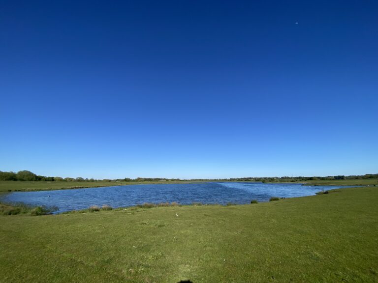 River Nene: The River Nene Fights against Pollution for Survival